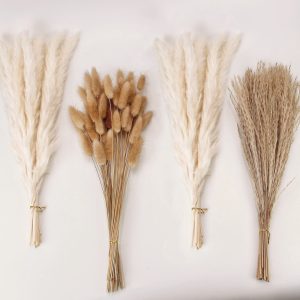 Herbe de pampa séchée pour décoration bohème - visuel produit