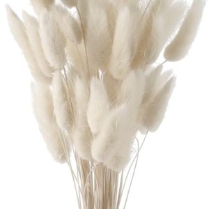 Herbe de la Pampa Séchée Naturelle 43 cm - Bouquet de 50 Plumes Blanches pour Décoration Intérieure, - produit neuf issu de déstockage