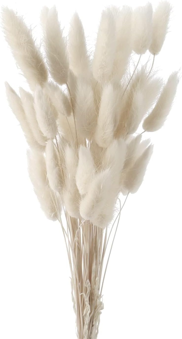 Herbe de la Pampa Séchée Naturelle 43 cm - Bouquet de 50 Plumes blancoohes para Décoration Intérieure,