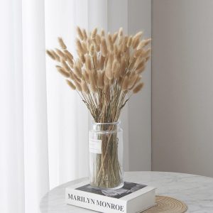 P000788-image_01 Pampas Séchées Naturelles - 60 Pièces Herbe de la Pampa et Queue de Lapin, 50-60 cm - Décoration Mar - produit neuf issu de déstockage