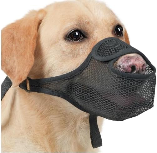 Muselière en Nylon Respirante y ajustable para Chiens Petits, Moyens y Grands - talla S, negro - Ma